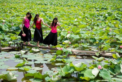 Giá sản phẩm lên cao nhờ chỉ dẫn địa lý?